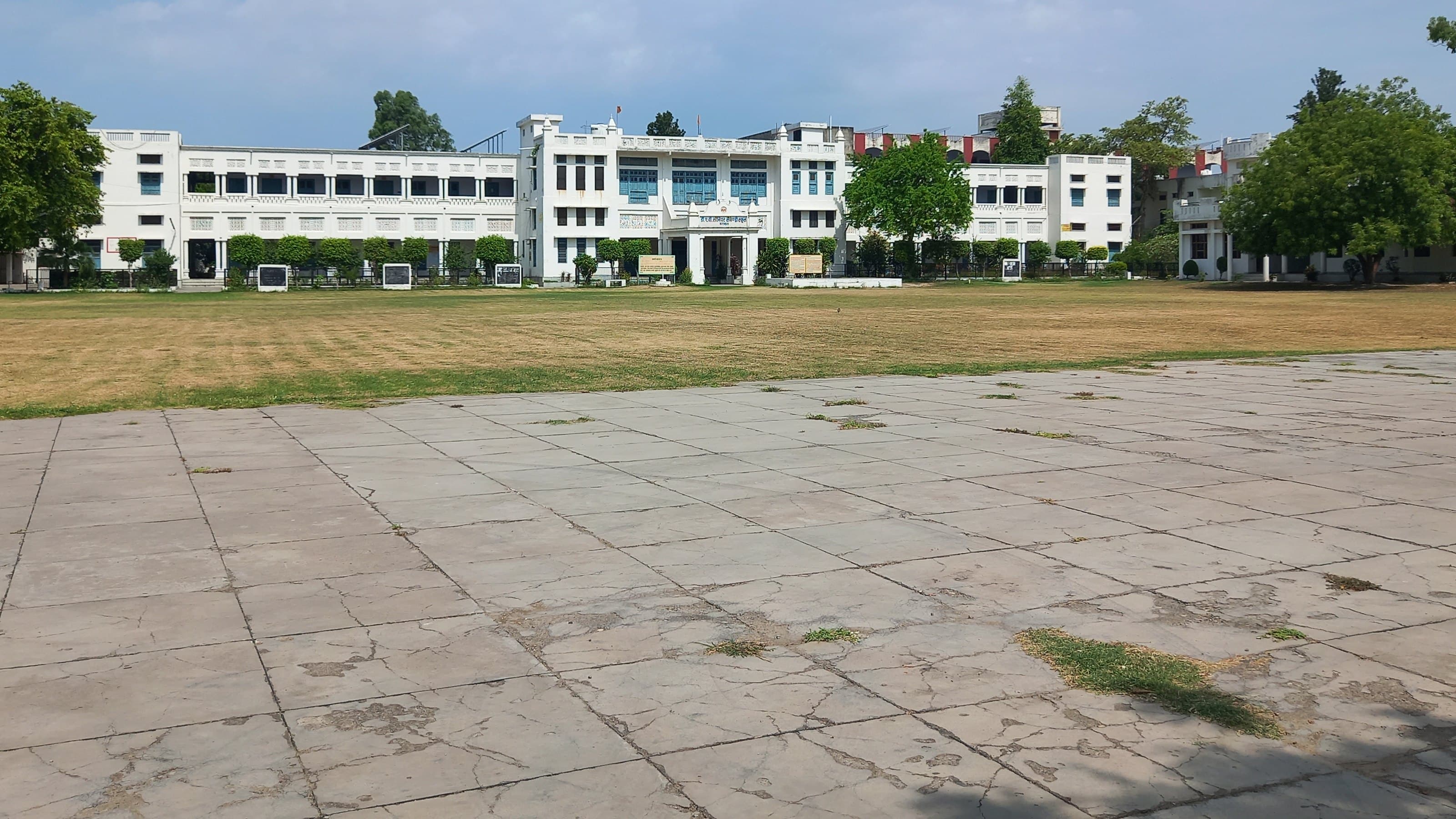 The play field